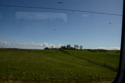 DSC_7219 (Large).JPG